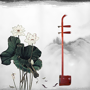 722-1专业花梨木二胡